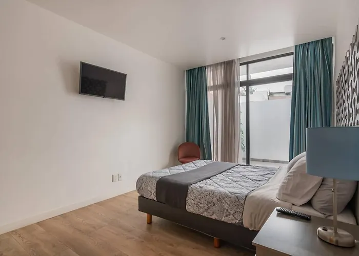 Apartamento Spacious Urban Retreatwork&play In México DF